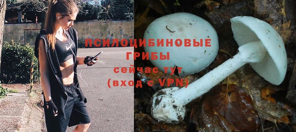 ешки Новодвинск
