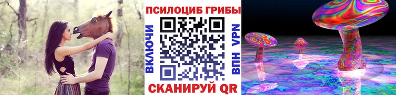 Галлюциногенные грибы Magic Shrooms Губкин