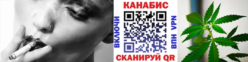 omg маркетплейс  Губкин  Каннабис план 